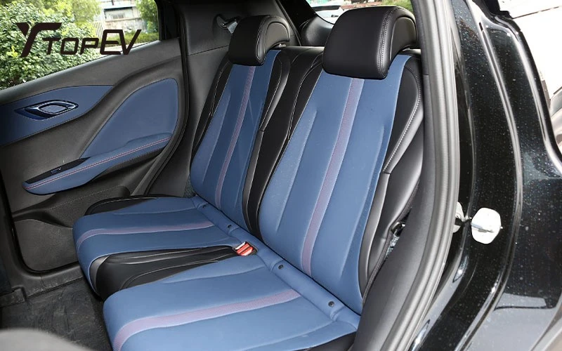 review byd seagull review byd seagull